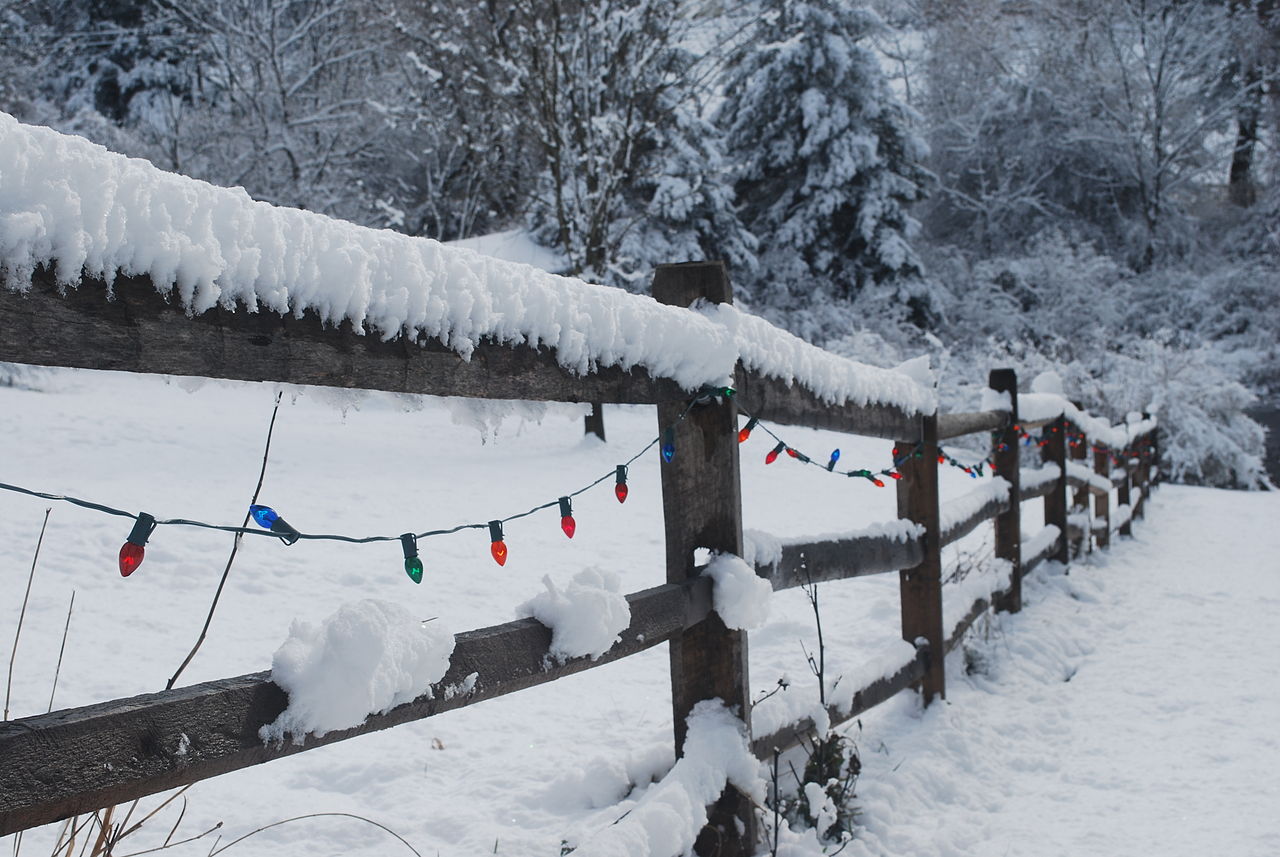 Christmas light in a snow covered fence
